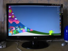 lg_monitor lg_monitor